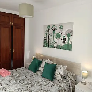 Apto Ana. Centro Apartamento